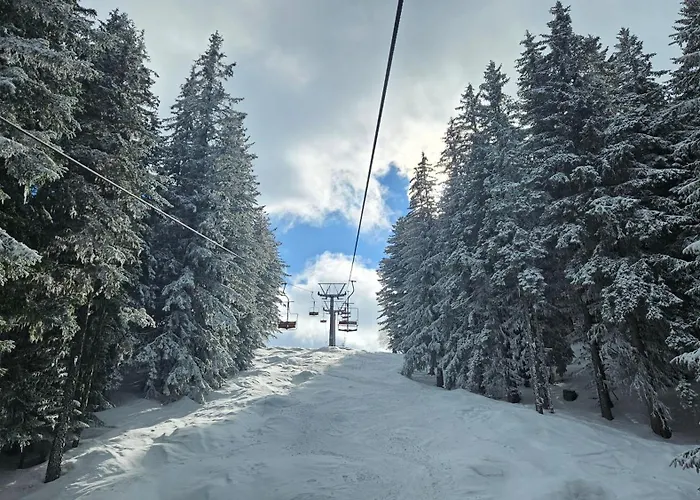 Prespa Penthouse Apartman *